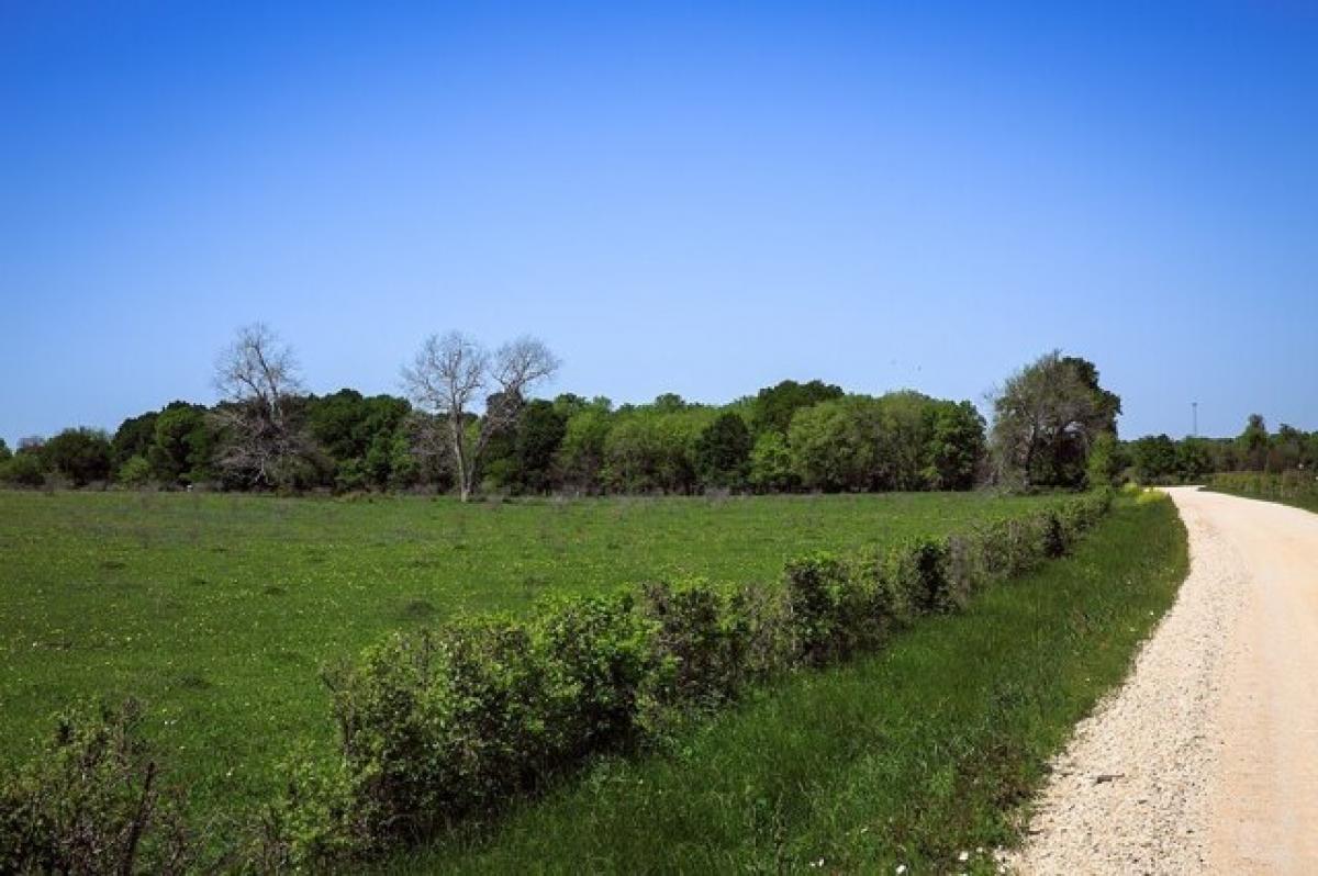 Picture of Residential Land For Sale in Chappell Hill, Texas, United States