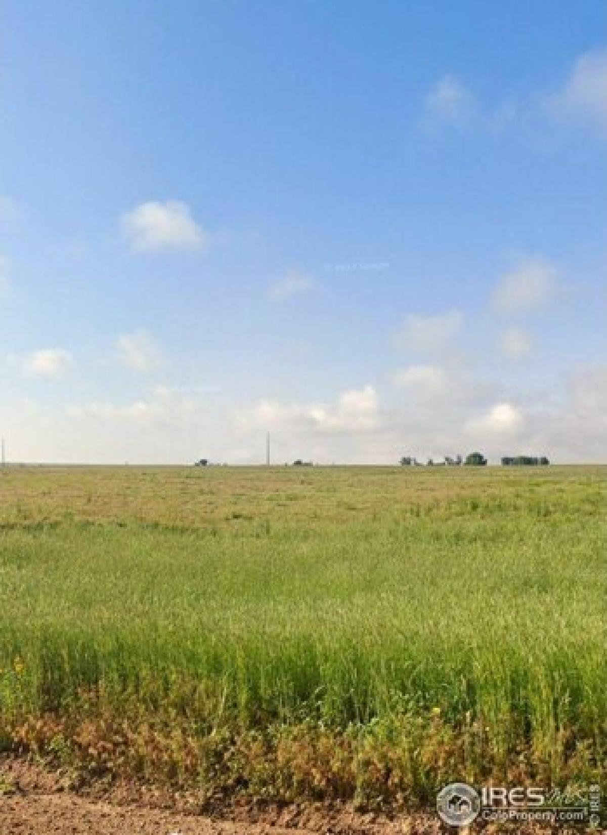 Picture of Residential Land For Sale in Platteville, Colorado, United States