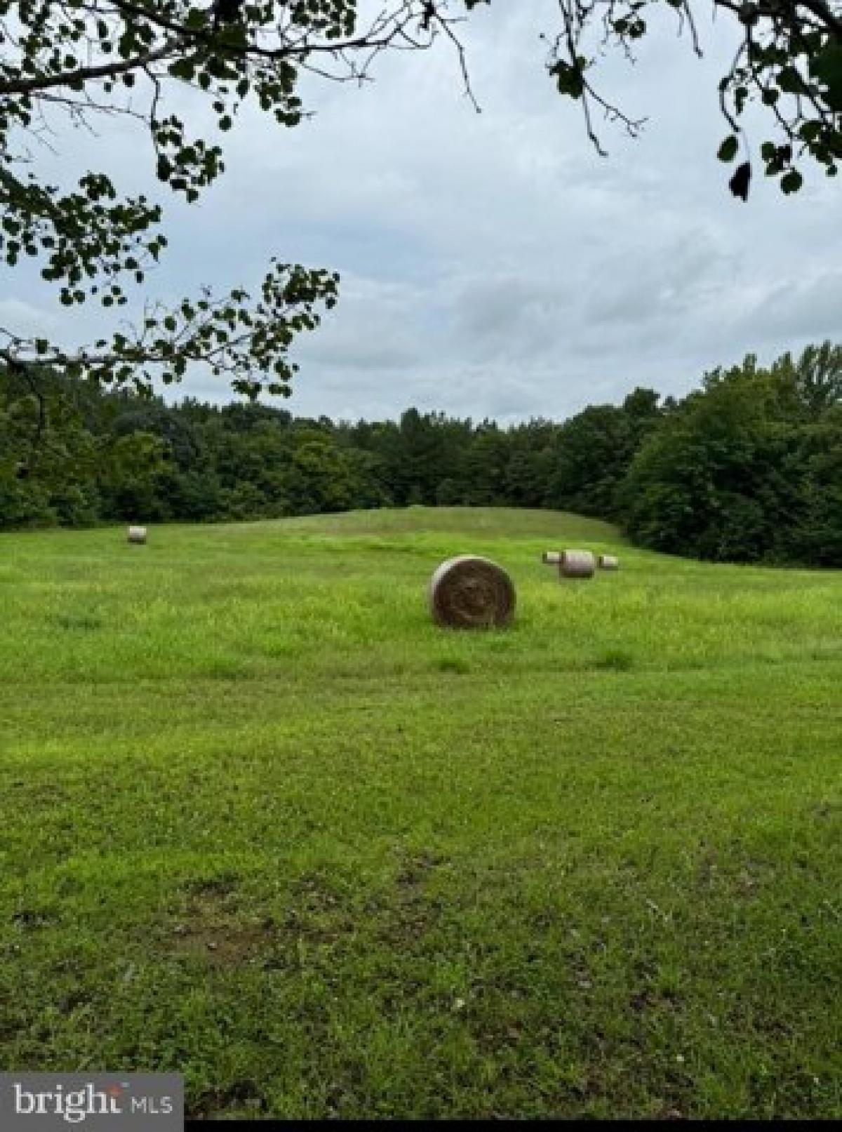 Picture of Residential Land For Sale in Clover, Virginia, United States