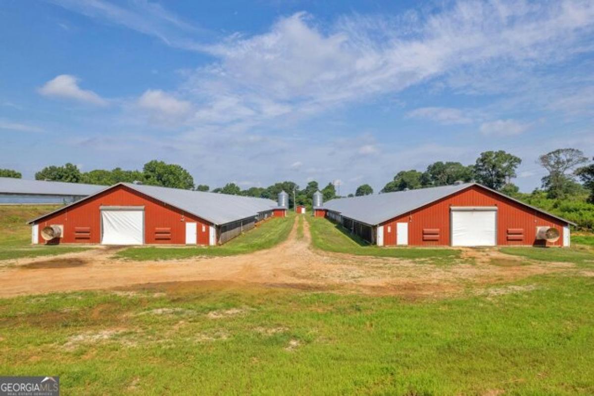 Picture of Residential Land For Sale in Comer, Georgia, United States