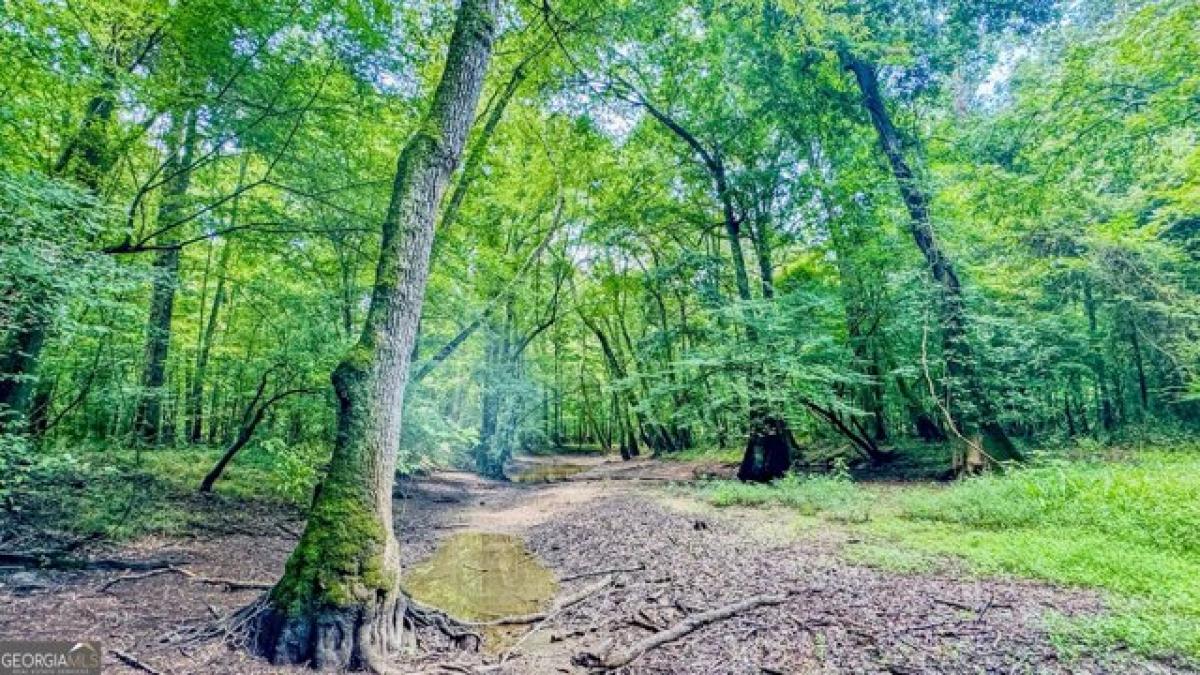 Picture of Residential Land For Sale in The Rock, Georgia, United States