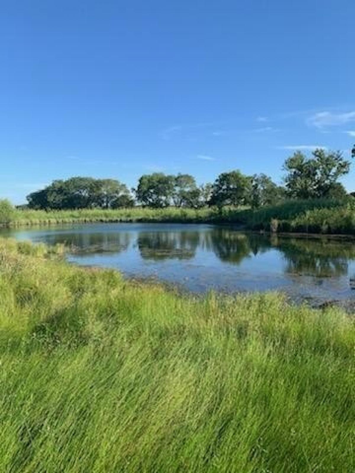 Picture of Residential Land For Sale in Pattonville, Texas, United States