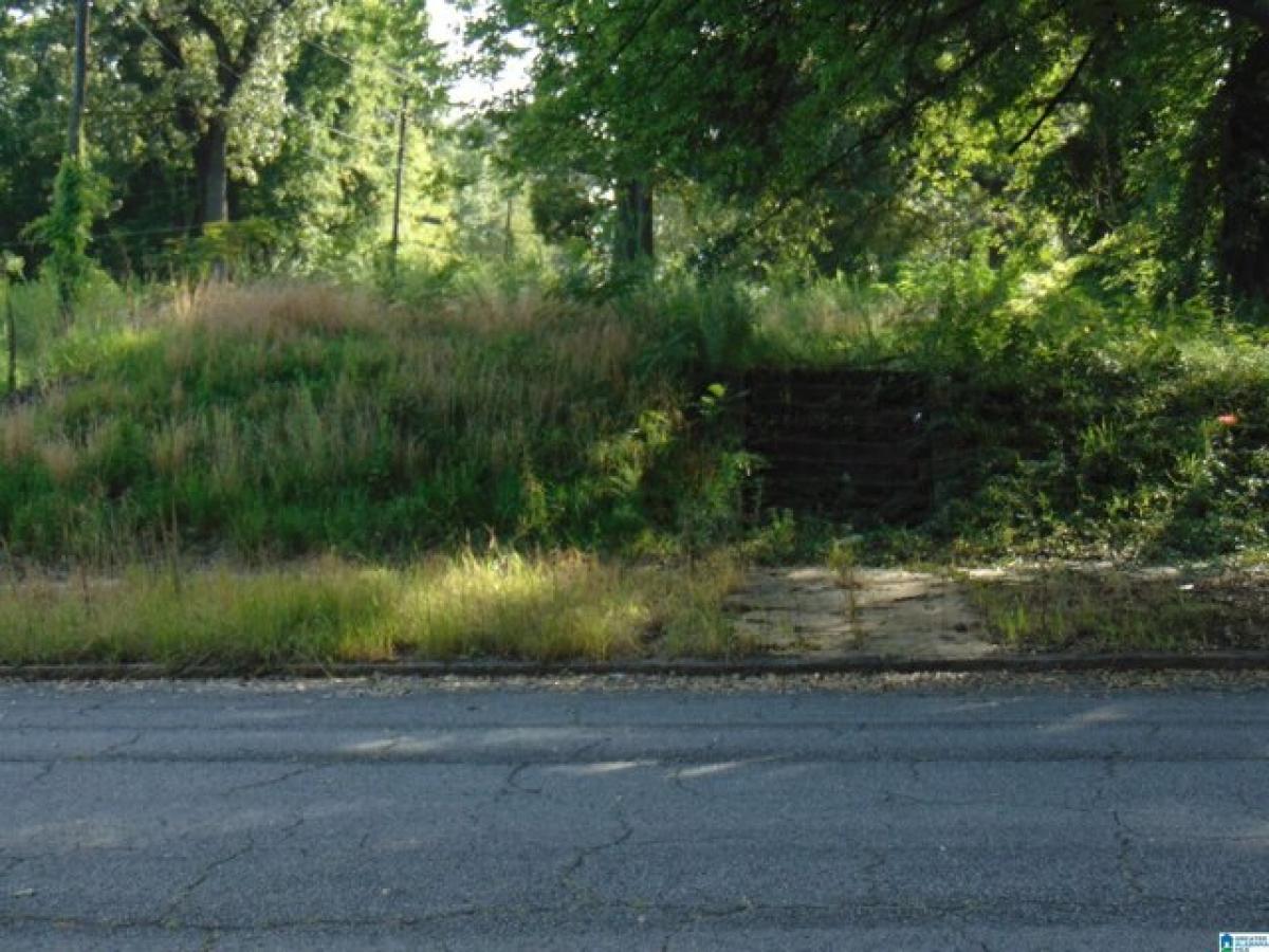 Picture of Residential Land For Sale in Birmingham, Alabama, United States