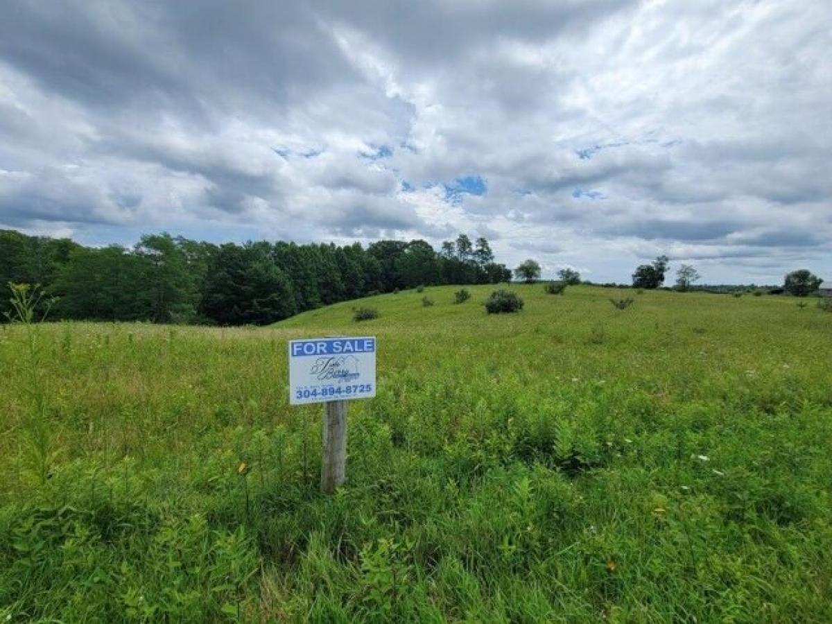 Picture of Residential Land For Sale in Rainelle, West Virginia, United States