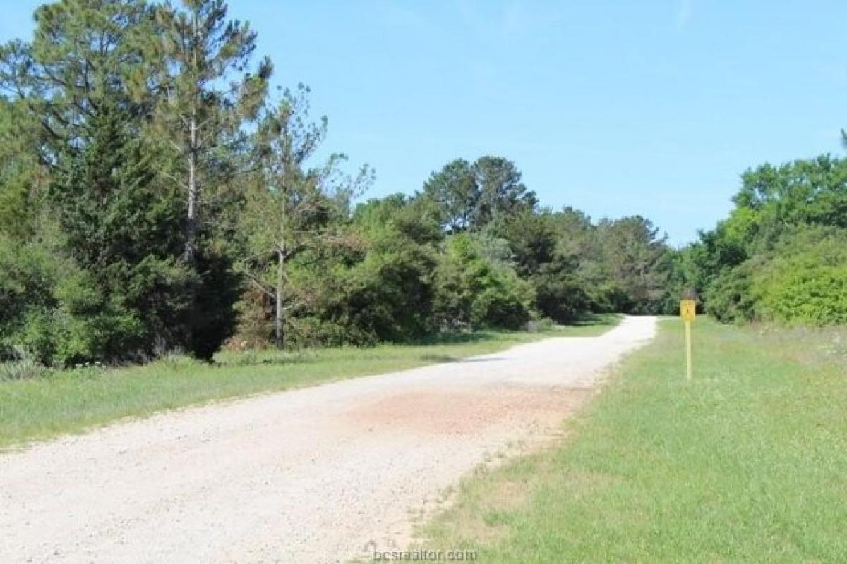 Picture of Residential Land For Sale in Hilltop Lakes, Texas, United States