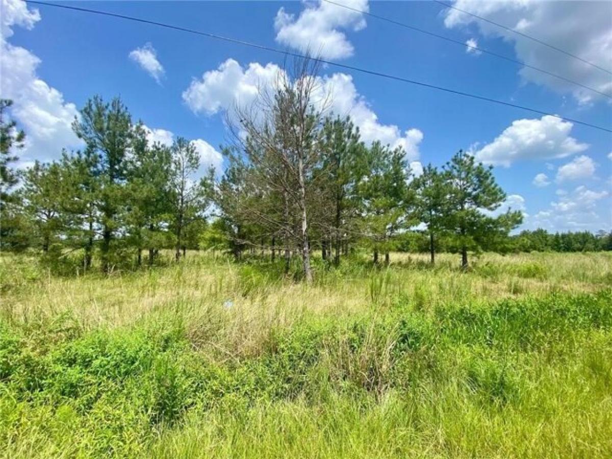 Picture of Residential Land For Sale in Bogalusa, Louisiana, United States