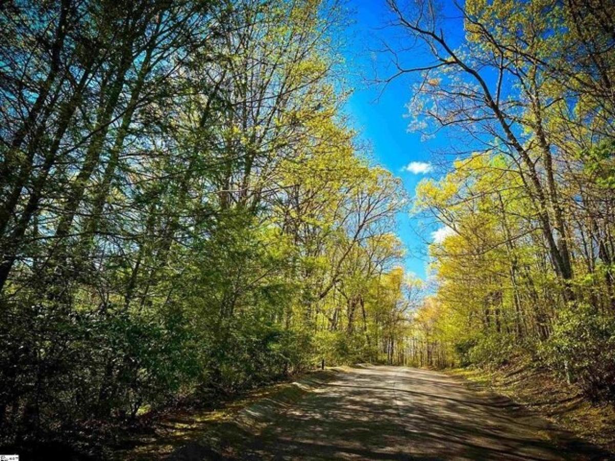 Picture of Residential Land For Sale in Cleveland, South Carolina, United States