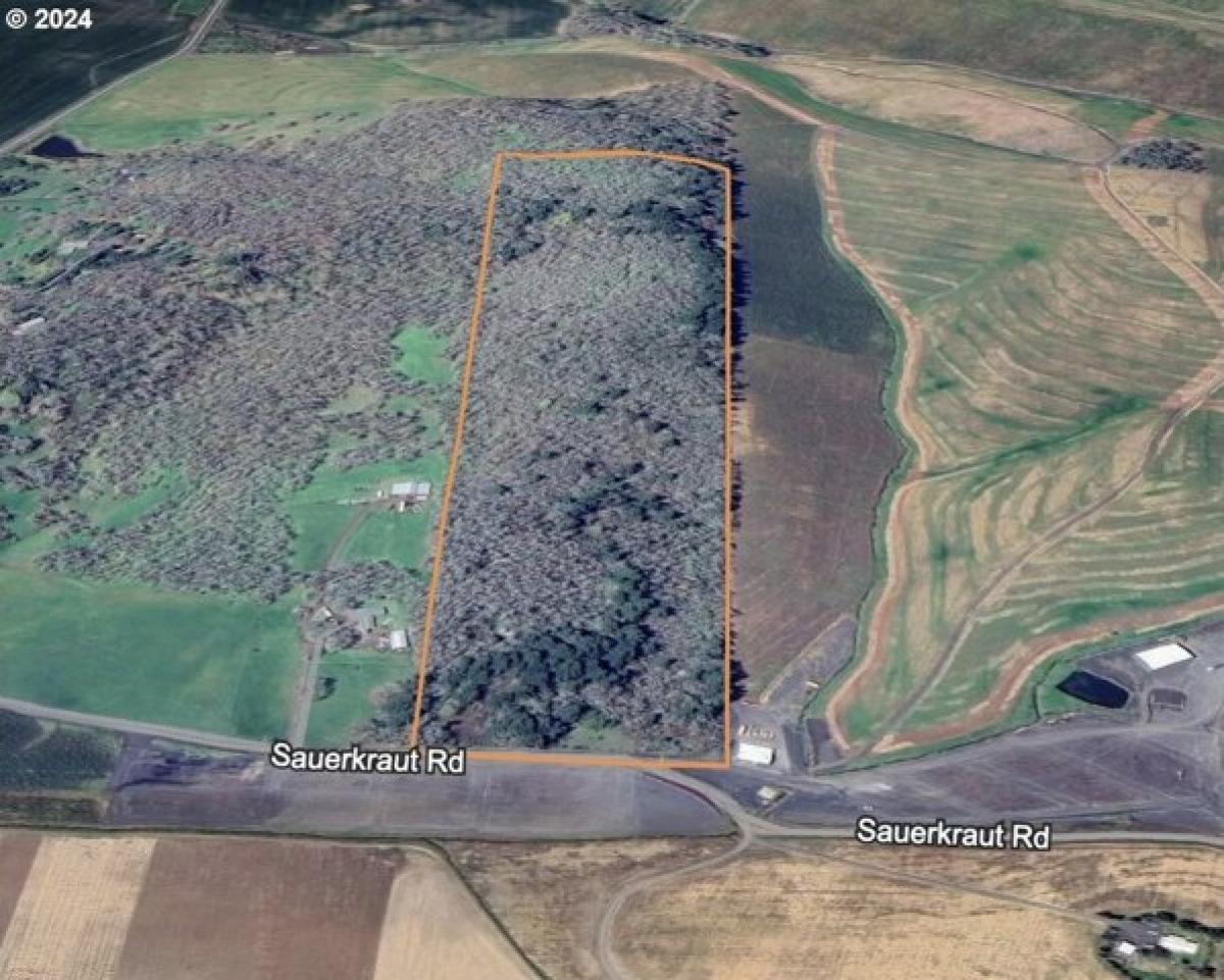 Picture of Residential Land For Sale in Monmouth, Oregon, United States