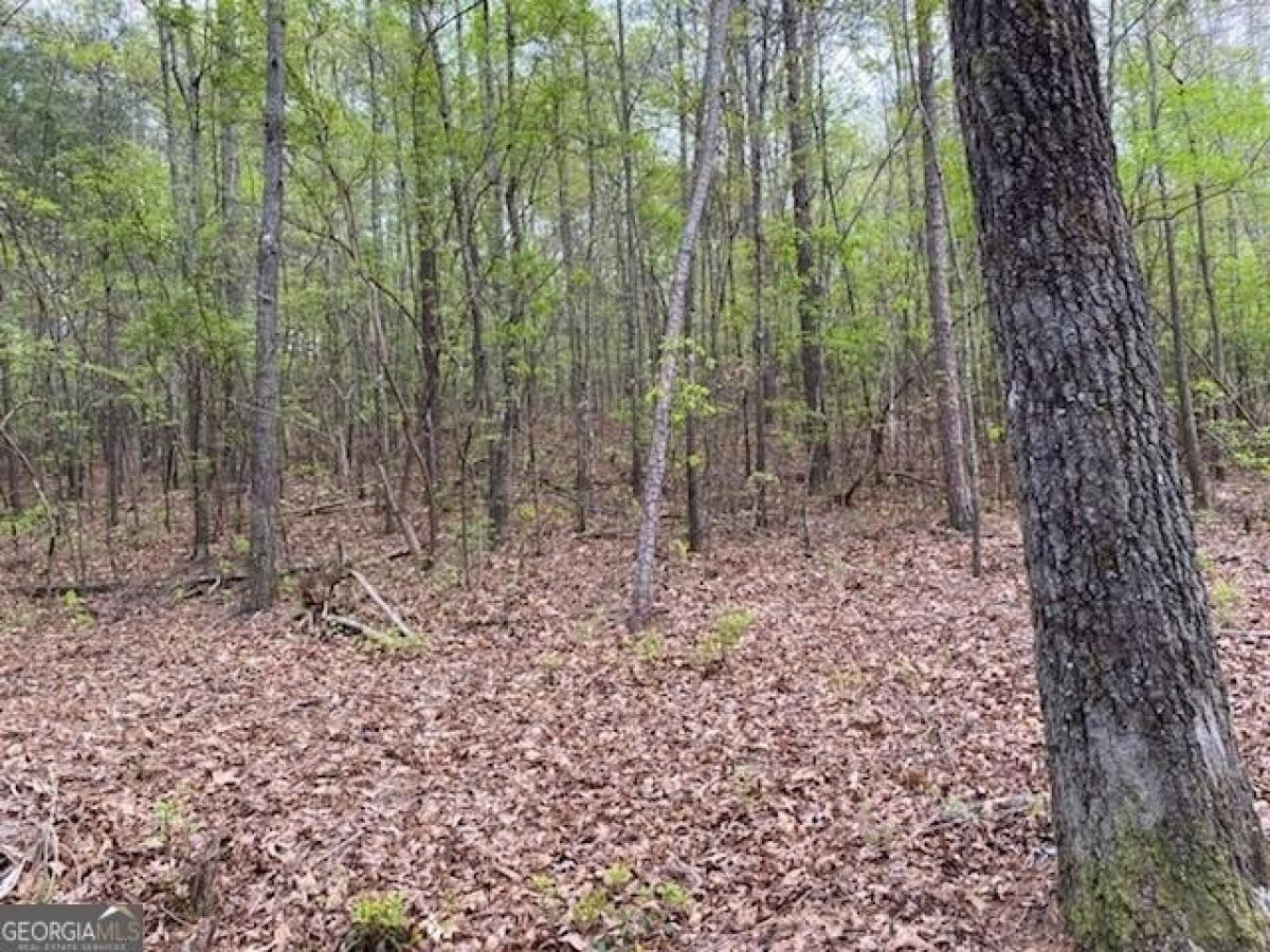 Picture of Residential Land For Sale in Conyers, Georgia, United States