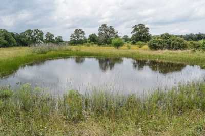 Residential Land For Sale in Carmine, Texas