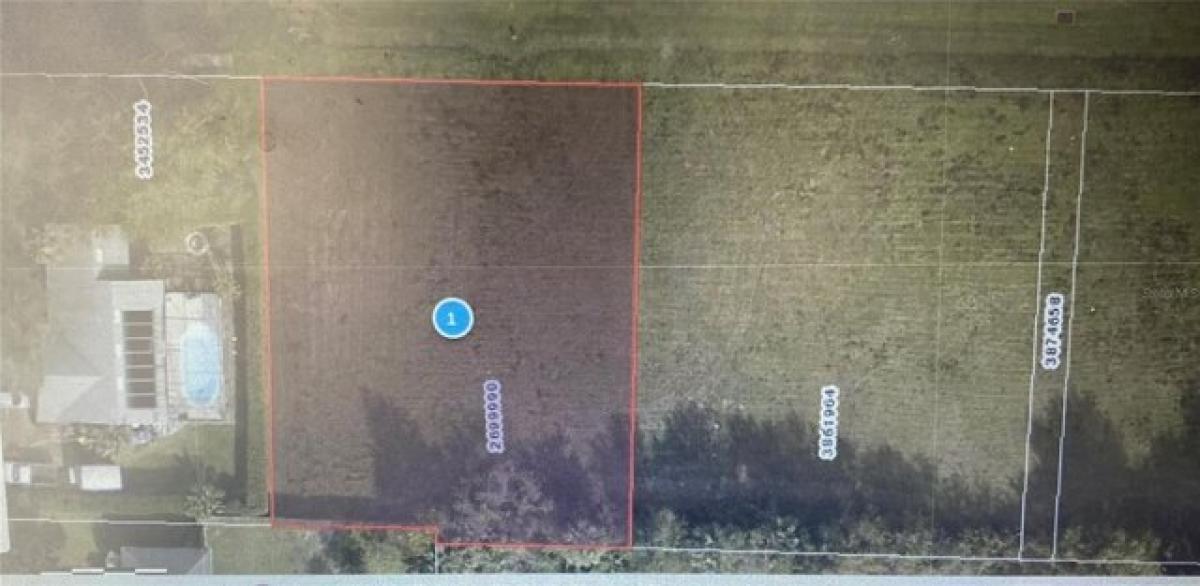 Picture of Residential Land For Sale in Tavares, Florida, United States