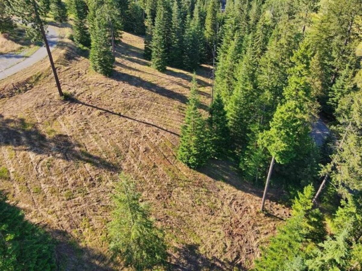 Picture of Residential Land For Sale in Newman Lake, Washington, United States