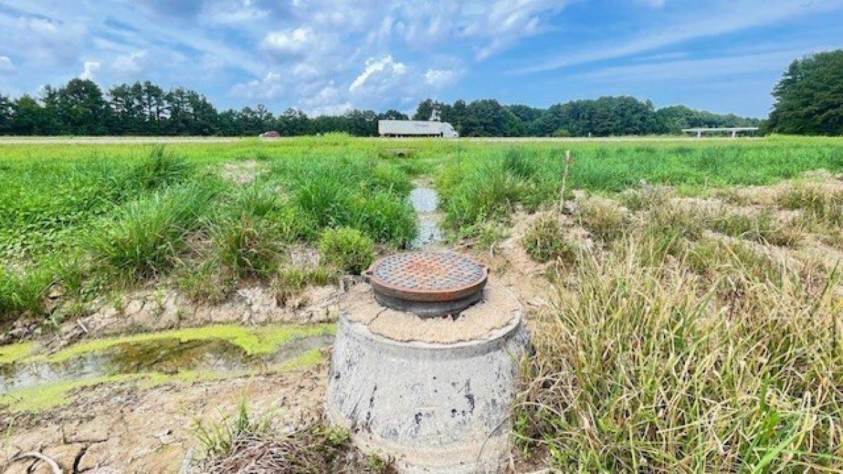 Picture of Residential Land For Sale in Stanton, Tennessee, United States