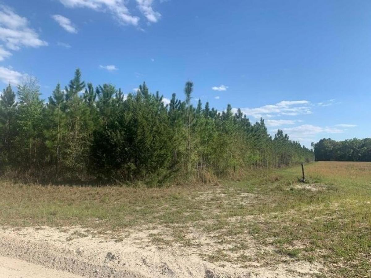 Picture of Residential Land For Sale in Bell, Florida, United States