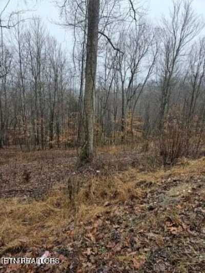 Residential Land For Sale in La Follette, Tennessee