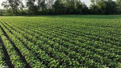 Residential Land For Sale in Minburn, Iowa