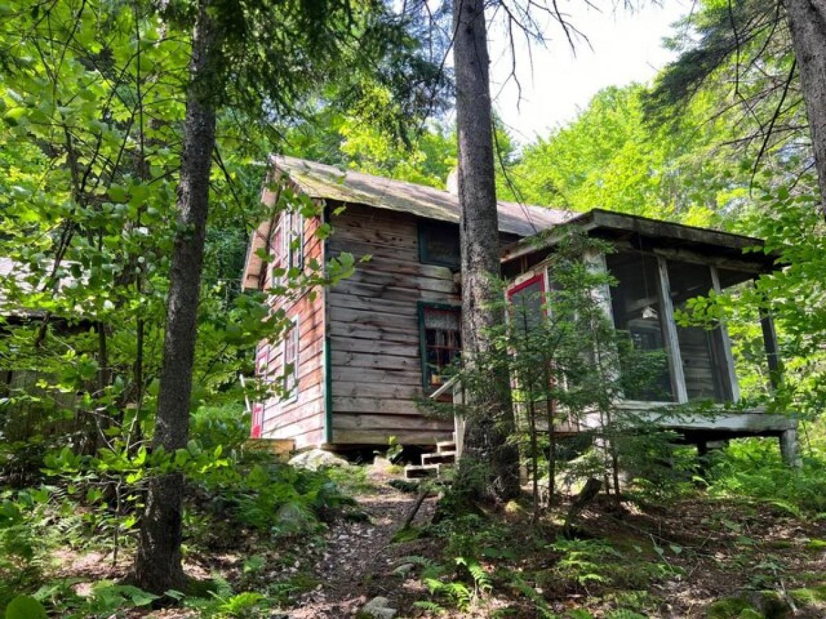 Picture of Home For Sale in Old Forge, New York, United States