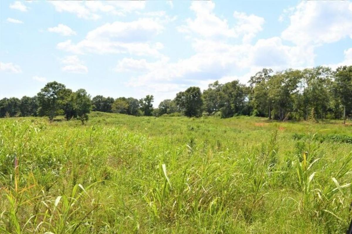 Picture of Residential Land For Sale in McComb, Mississippi, United States