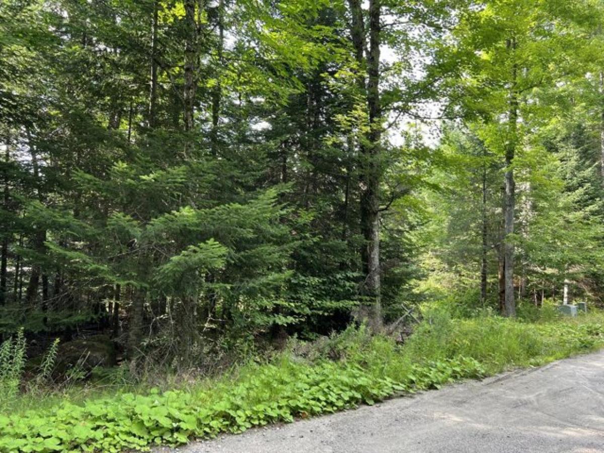 Picture of Residential Land For Sale in Lake Placid, New York, United States