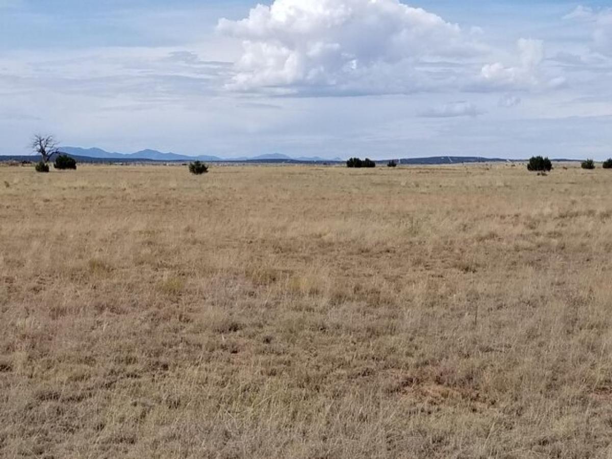 Picture of Residential Land For Sale in Estancia, New Mexico, United States