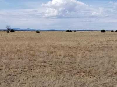 Residential Land For Sale in Estancia, New Mexico