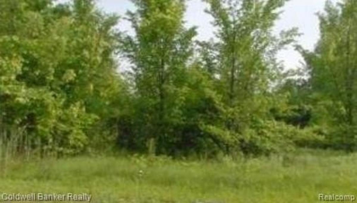 Picture of Residential Land For Sale in Romulus, Michigan, United States