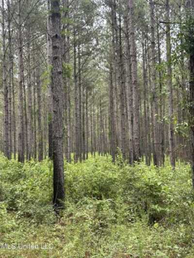 Residential Land For Sale in Mount Olive, Mississippi