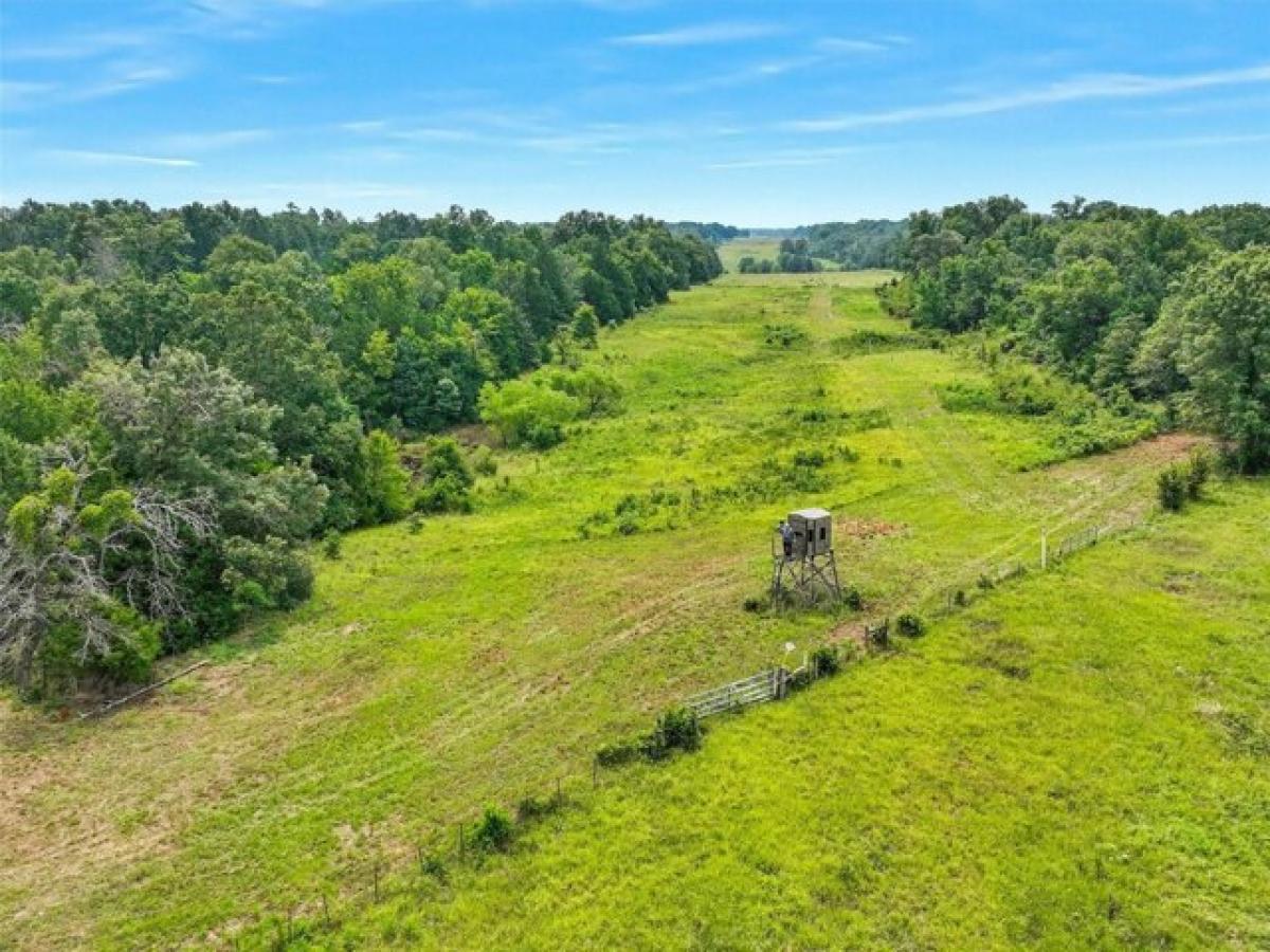 Picture of Residential Land For Sale in Paris, Texas, United States