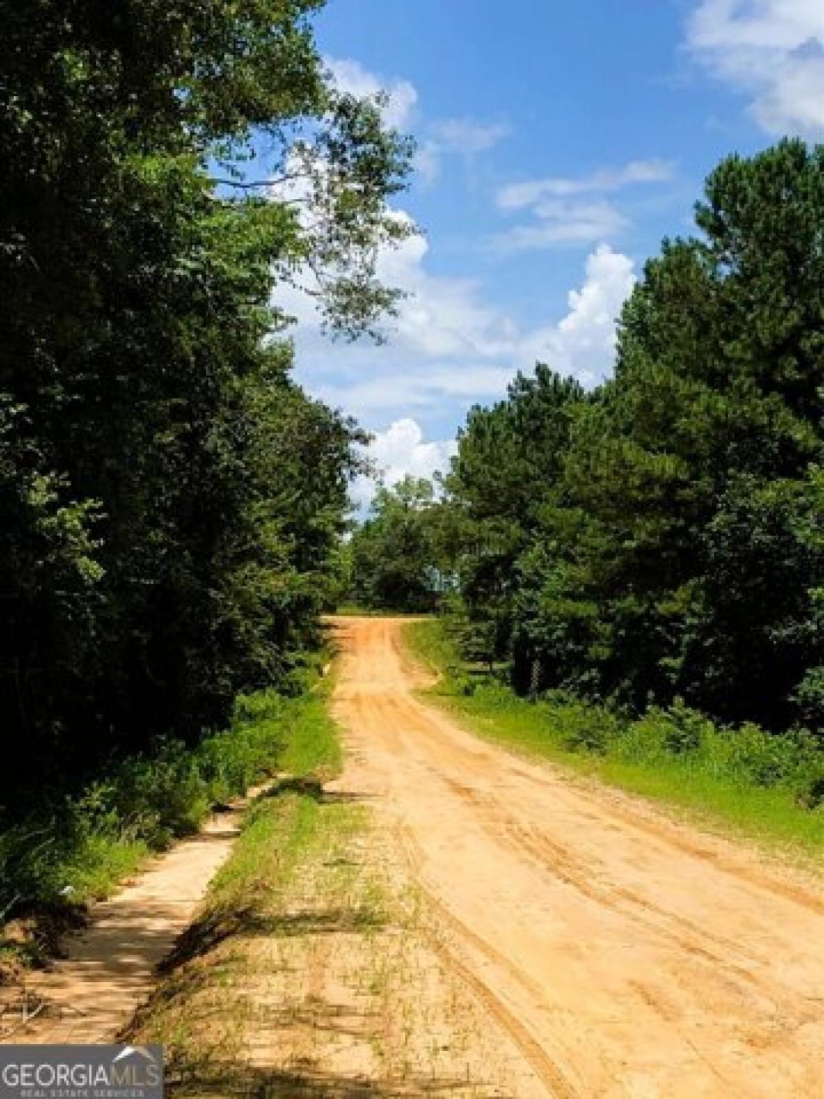 Picture of Residential Land For Sale in Rockledge, Georgia, United States