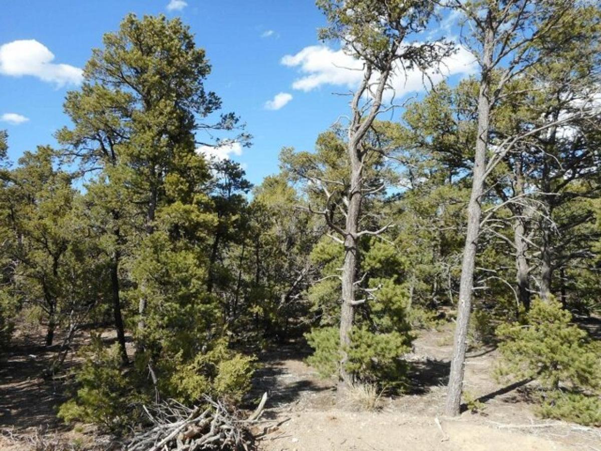 Picture of Residential Land For Sale in Tijeras, New Mexico, United States