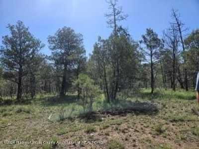 Residential Land For Sale in Ruidoso, New Mexico