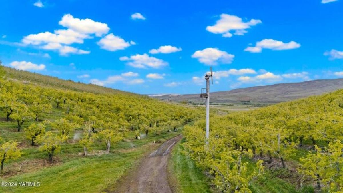 Picture of Residential Land For Sale in Cowiche, Washington, United States