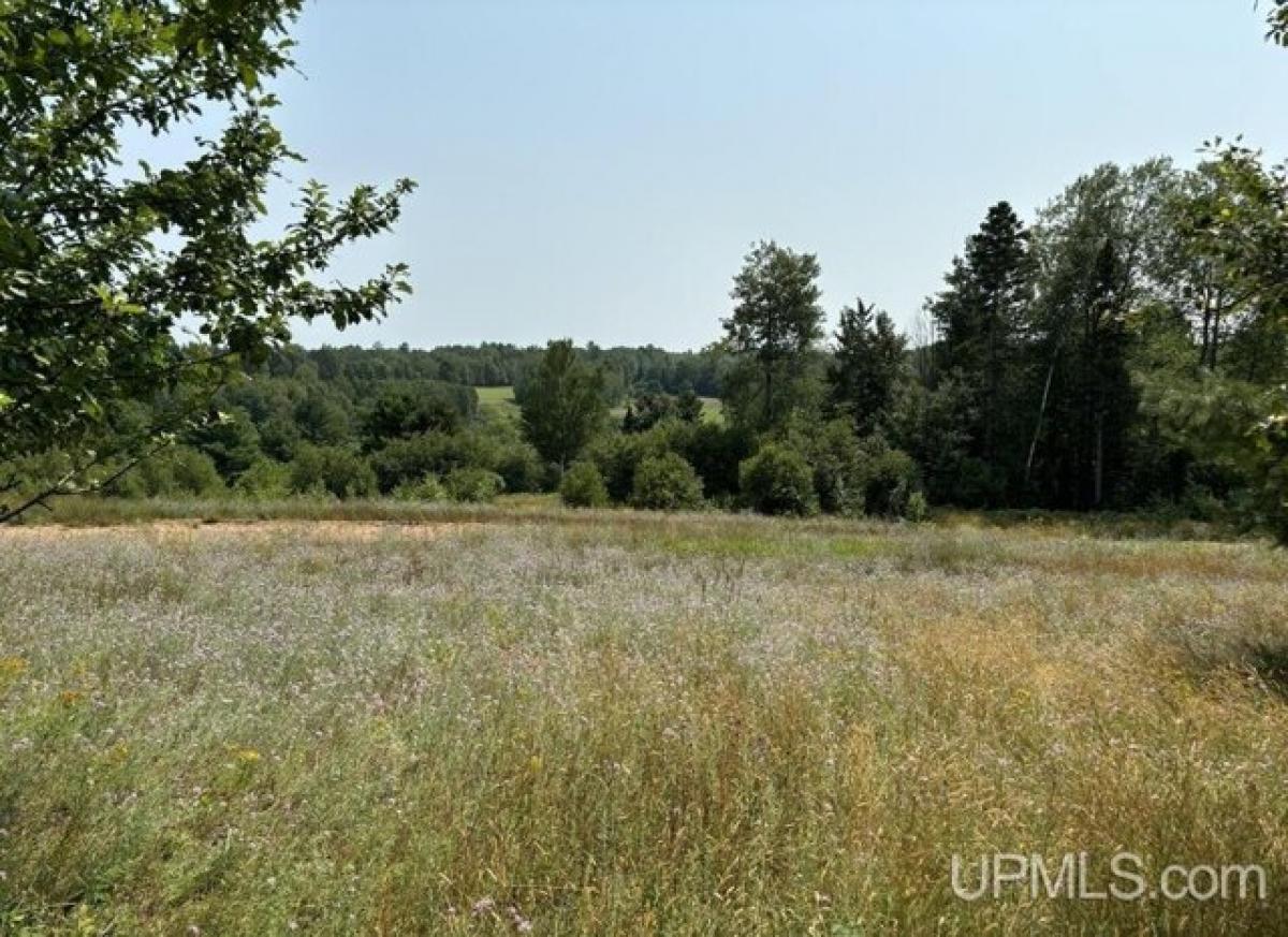 Picture of Residential Land For Sale in Houghton, Michigan, United States