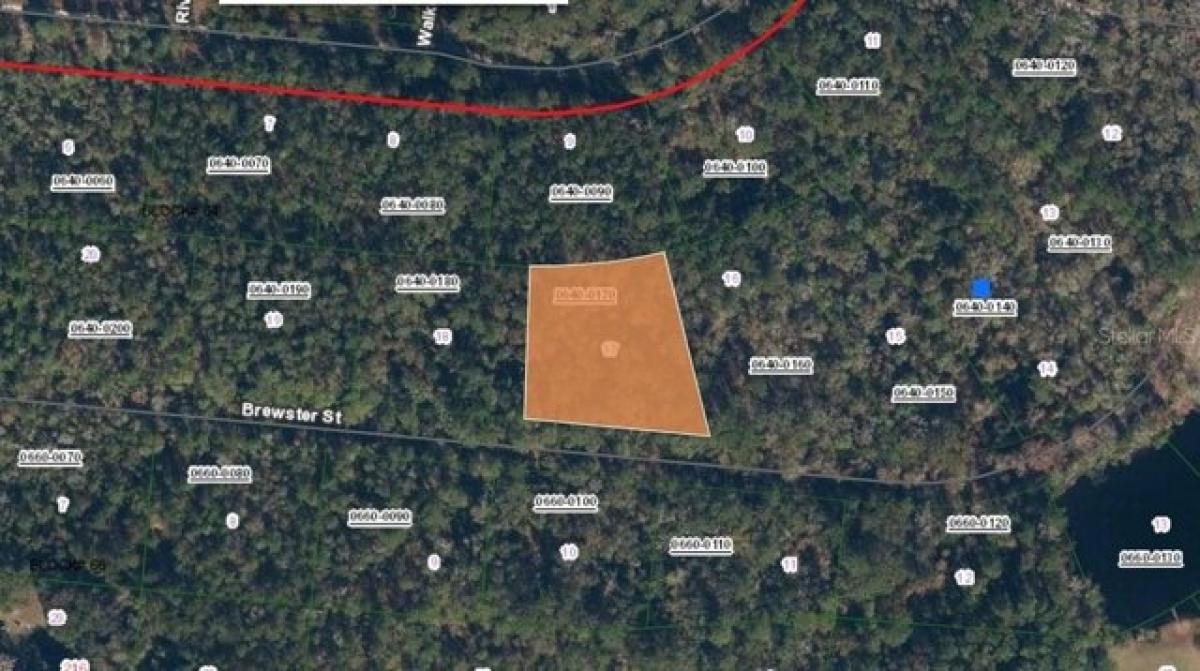 Picture of Residential Land For Sale in Satsuma, Florida, United States