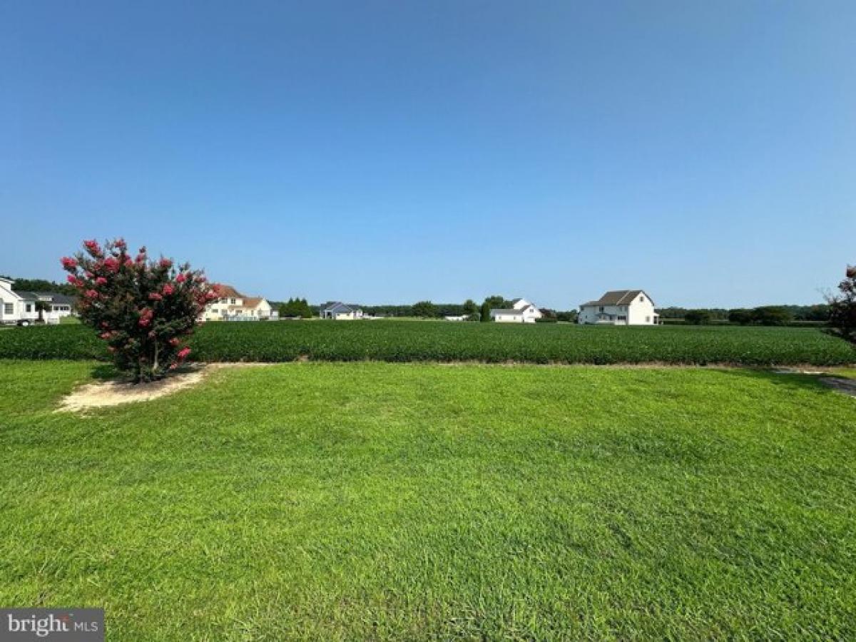 Picture of Residential Land For Sale in Princess Anne, Maryland, United States