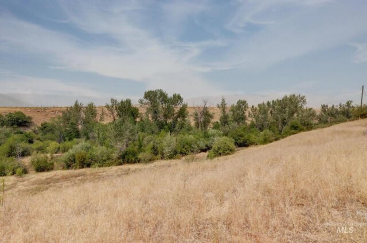 Picture of Residential Land For Sale in Horseshoe Bend, Idaho, United States