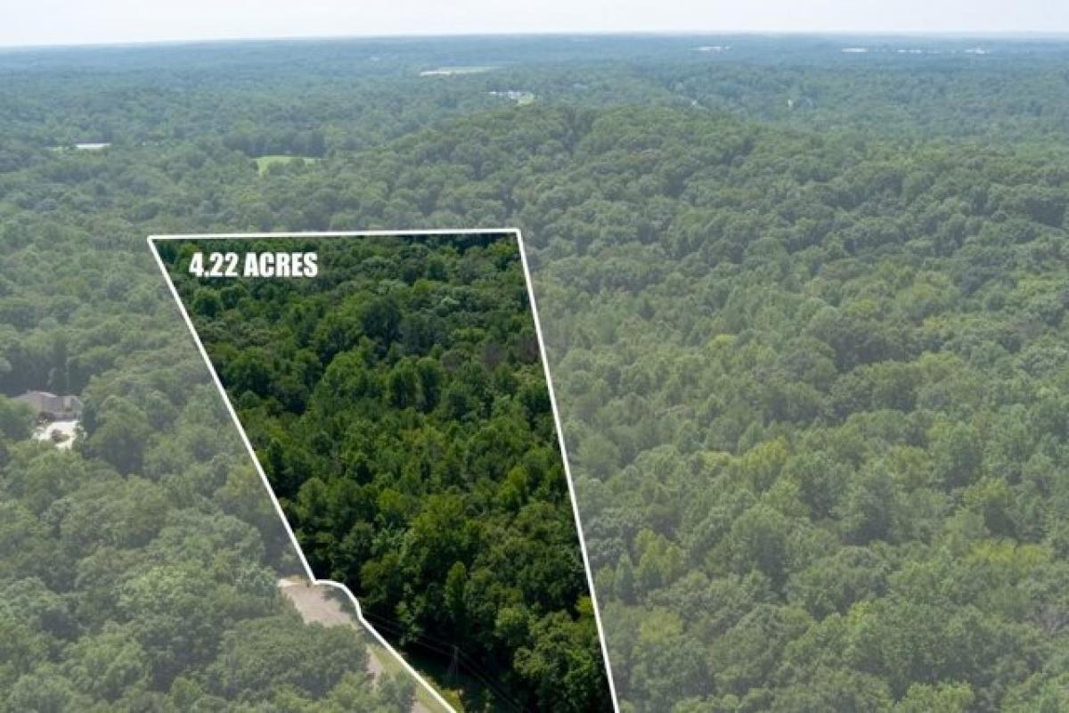 Picture of Residential Land For Sale in Braselton, Georgia, United States