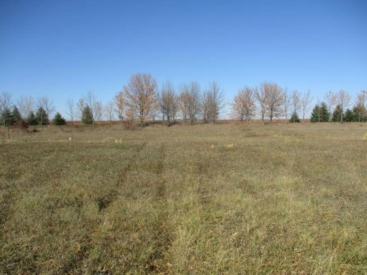 Picture of Residential Land For Sale in Emmetsburg, Iowa, United States