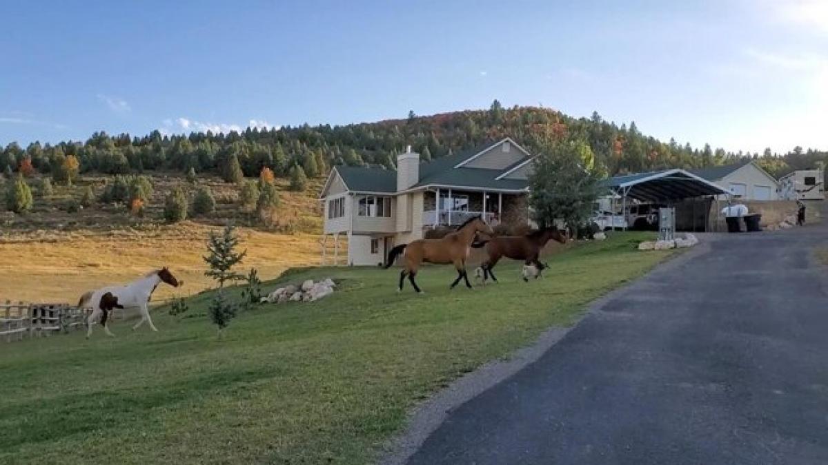 Picture of Home For Sale in Lava Hot Springs, Idaho, United States