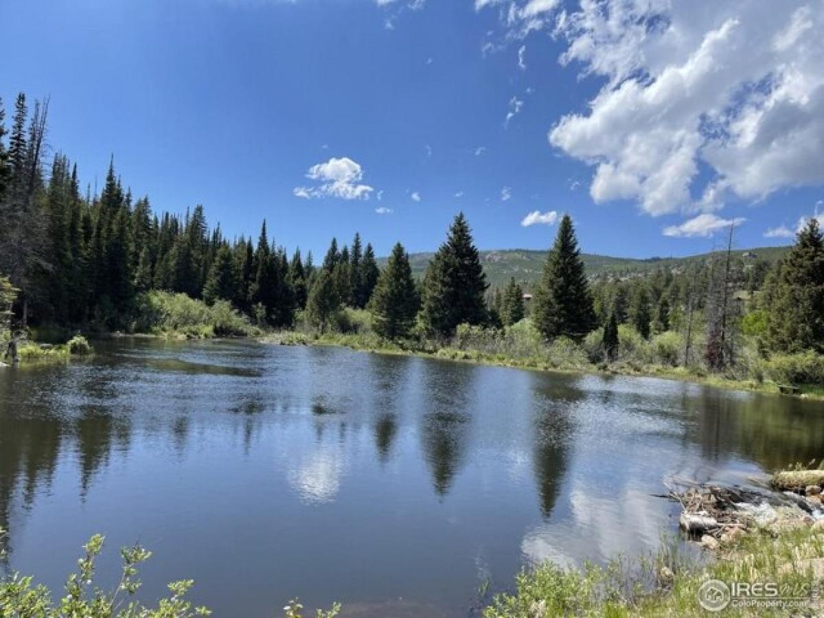 Picture of Residential Land For Sale in Red Feather Lakes, Colorado, United States