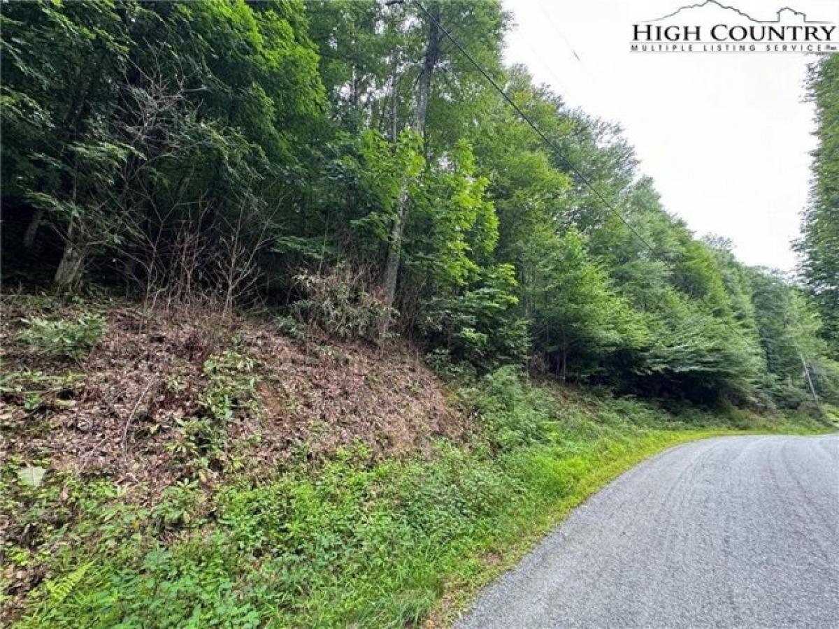 Picture of Residential Land For Sale in Boone, North Carolina, United States