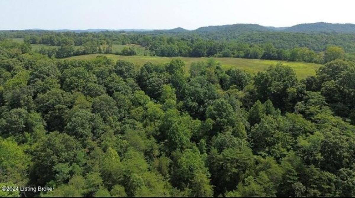 Picture of Residential Land For Sale in Vanceburg, Kentucky, United States