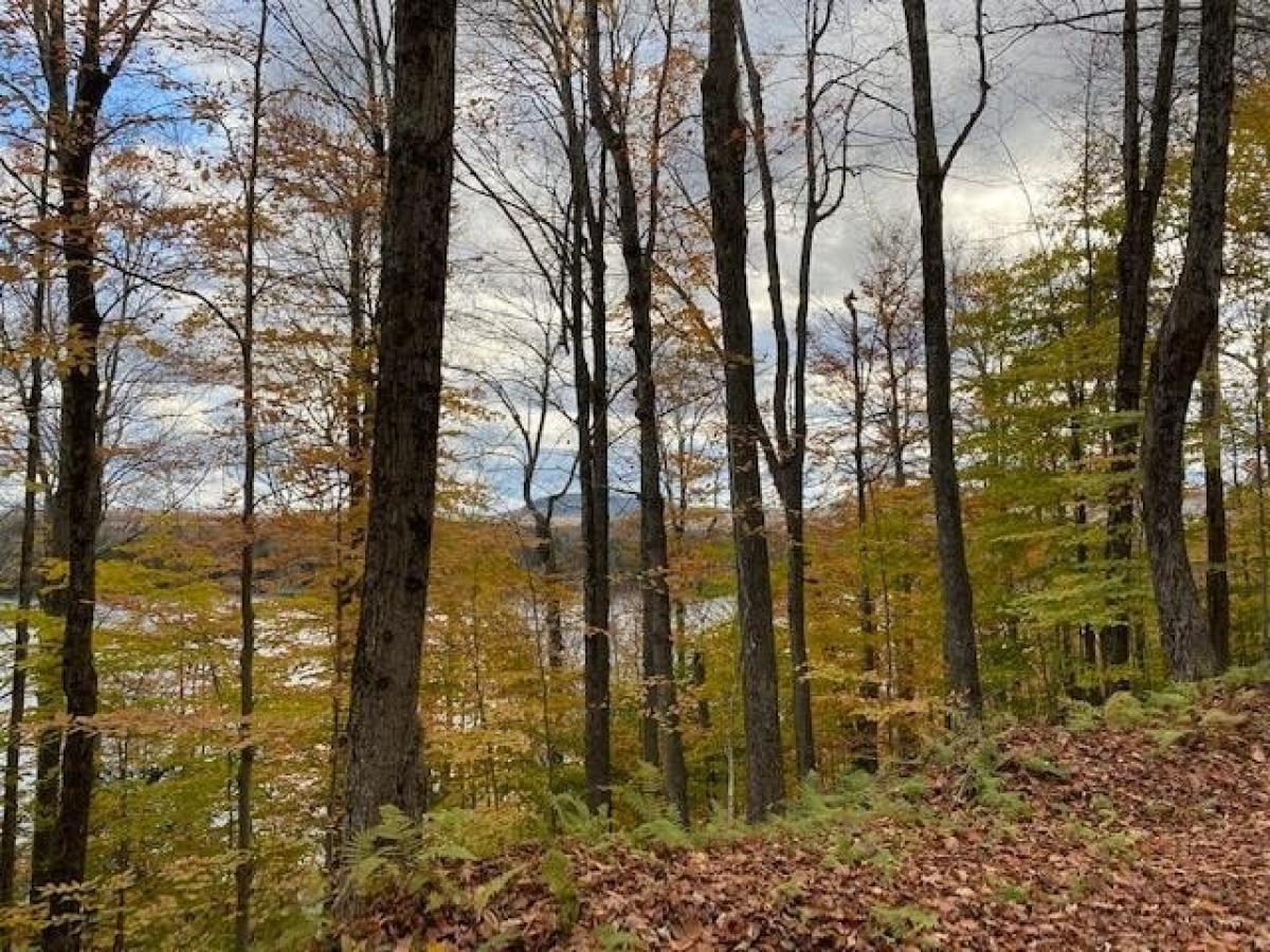 Picture of Residential Land For Sale in Old Forge, New York, United States