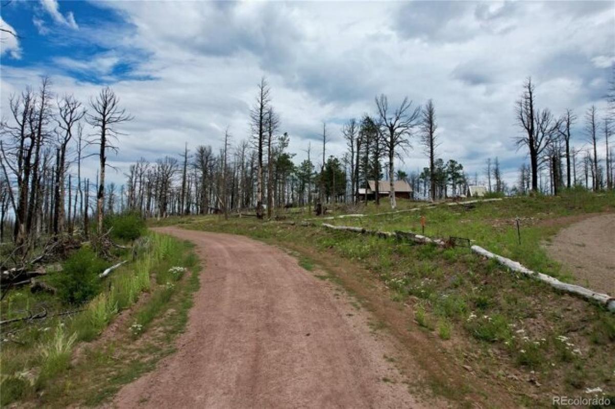 Picture of Residential Land For Sale in Fort Garland, Colorado, United States