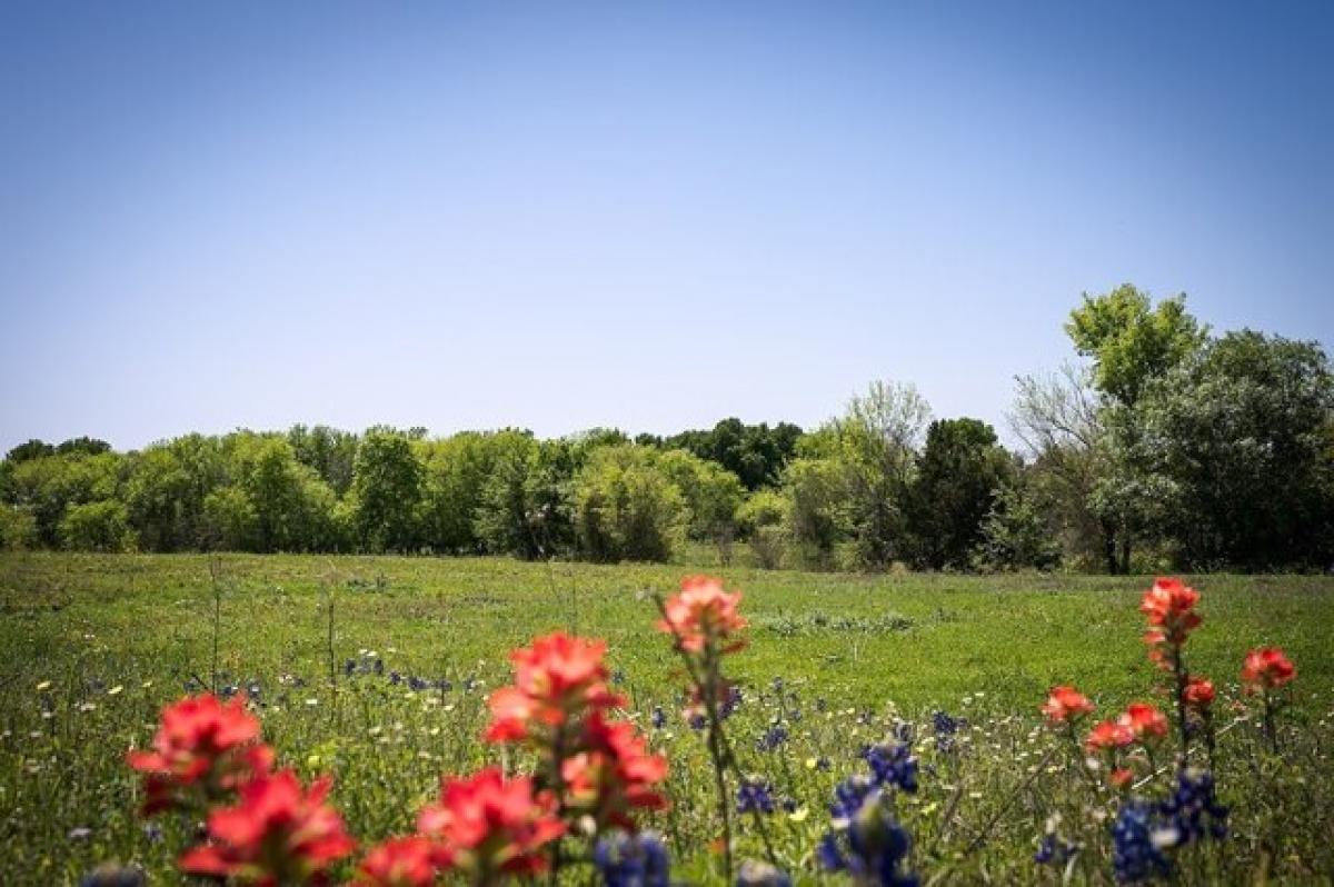 Picture of Residential Land For Sale in Chappell Hill, Texas, United States