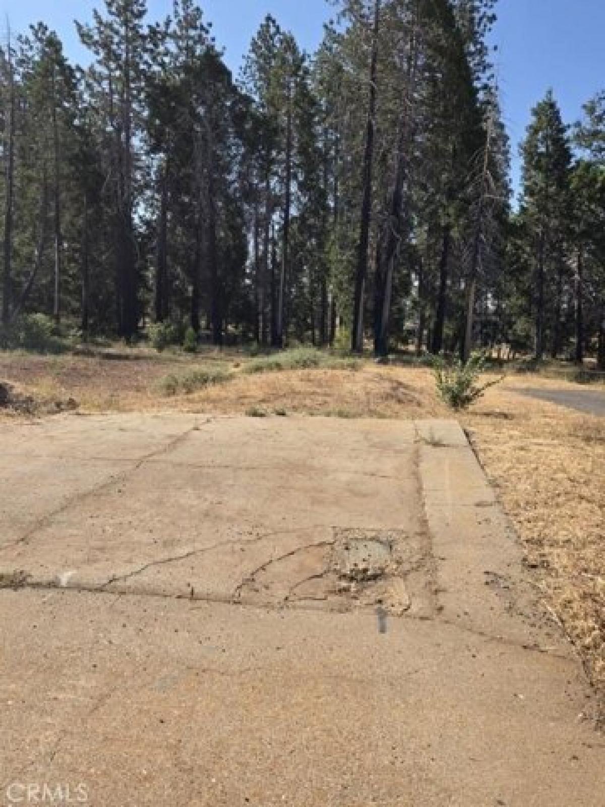 Picture of Residential Land For Sale in Magalia, California, United States