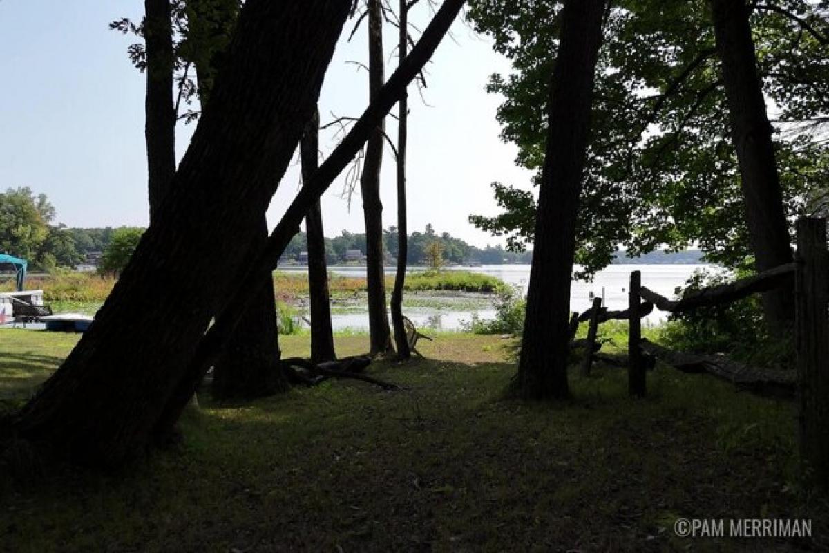 Picture of Home For Sale in Newaygo, Michigan, United States