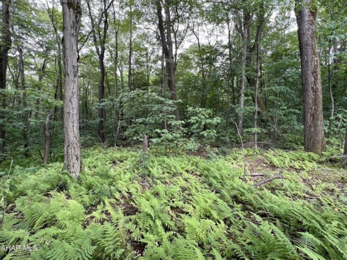 Picture of Residential Land For Sale in Claysburg, Pennsylvania, United States