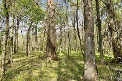 Residential Land For Sale in Sunshine, Louisiana