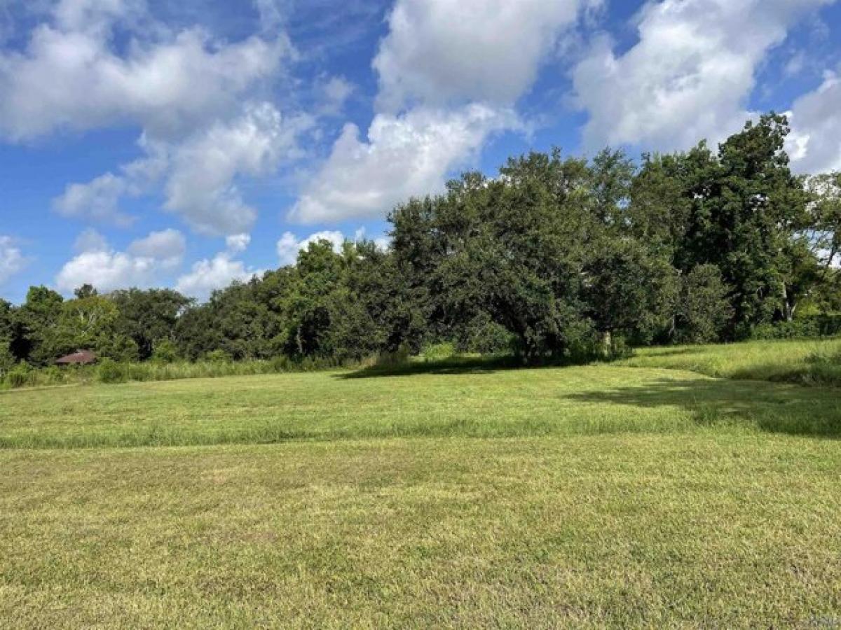 Picture of Residential Land For Sale in Theriot, Louisiana, United States